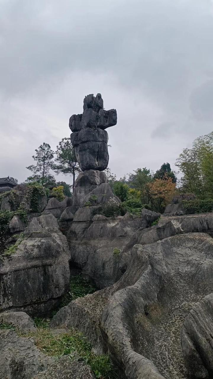 重庆万盛石林  重庆万盛石林风景区位于重庆市綦江区,是我国第二大