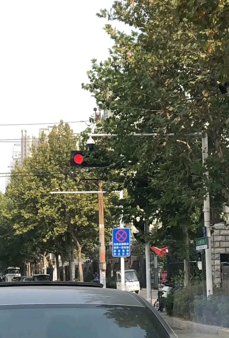 郑州有多少这种"藏猫猫"的红绿灯