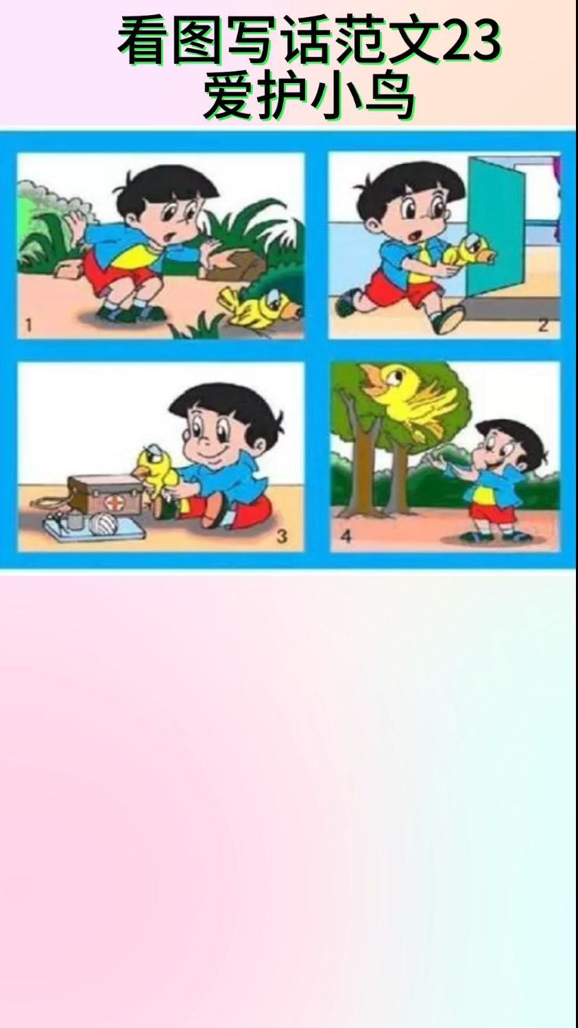 看图写话范文23《爱护小鸟》