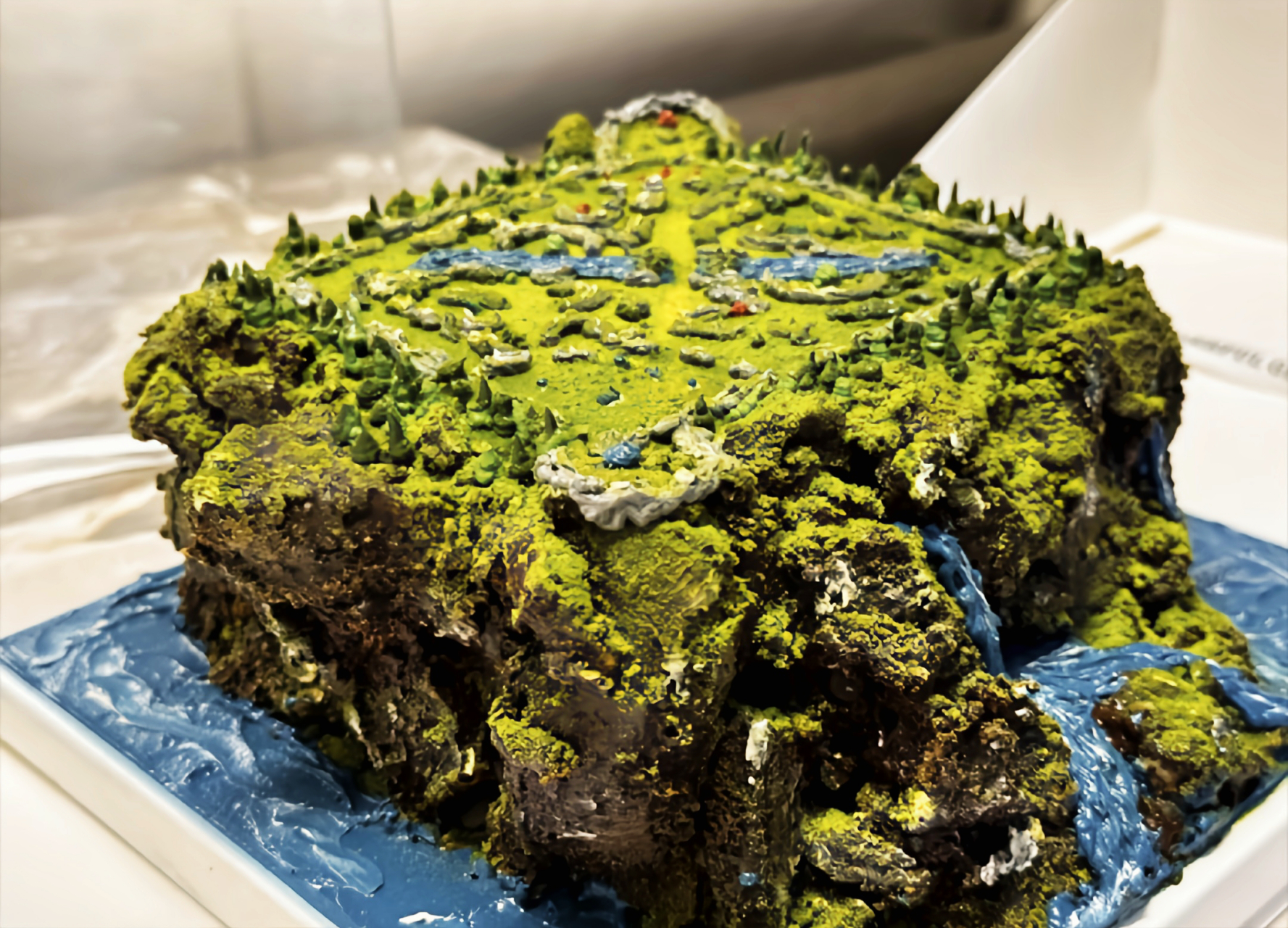 这蛋糕做得可太精致了~