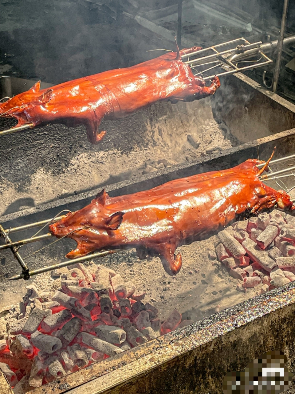 夏至来了,小奶狗好可爱哦,做一道烤乳狗怎样?