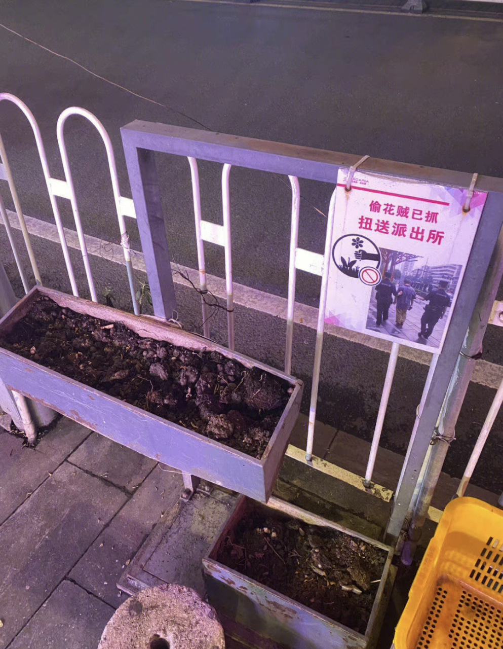 怎么还贴出来了,警示后人吗?