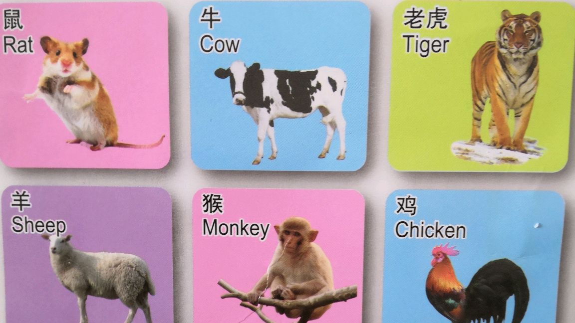 十二生肖的英文单词发音