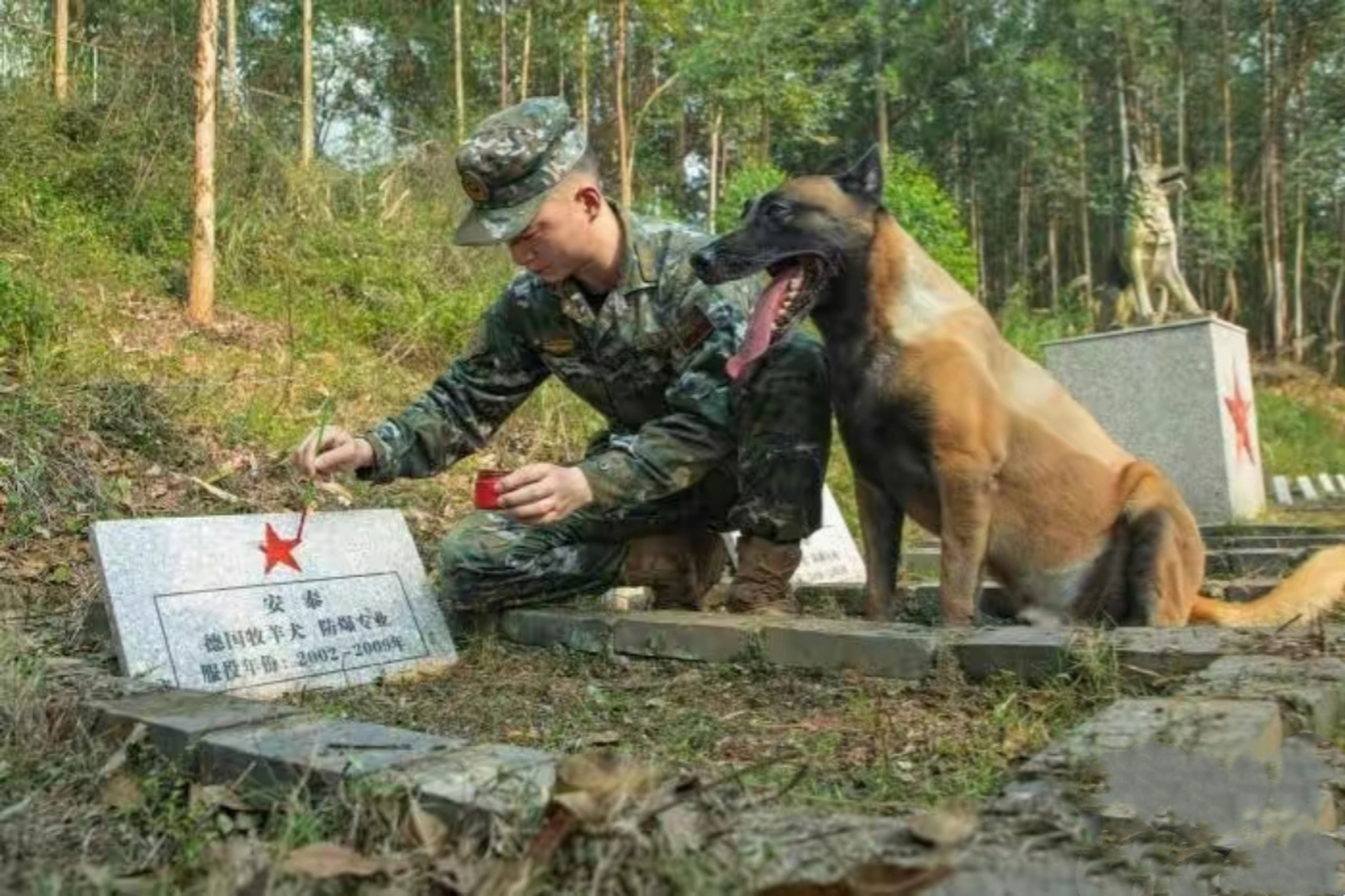 广西南宁武警官兵带警犬祭扫警犬墓园 ,缅怀"无言战友",令人感动!