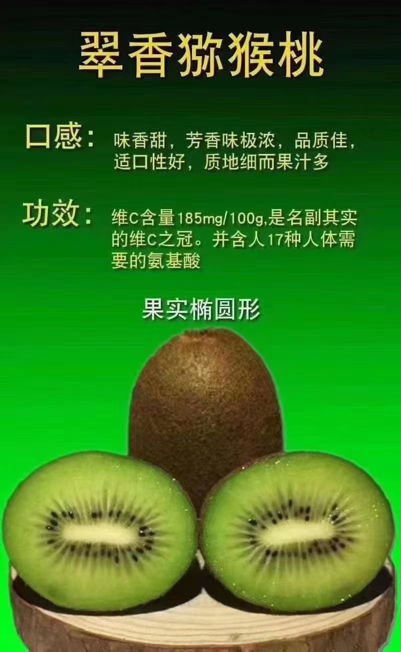 周至猕猴桃之"翠香"