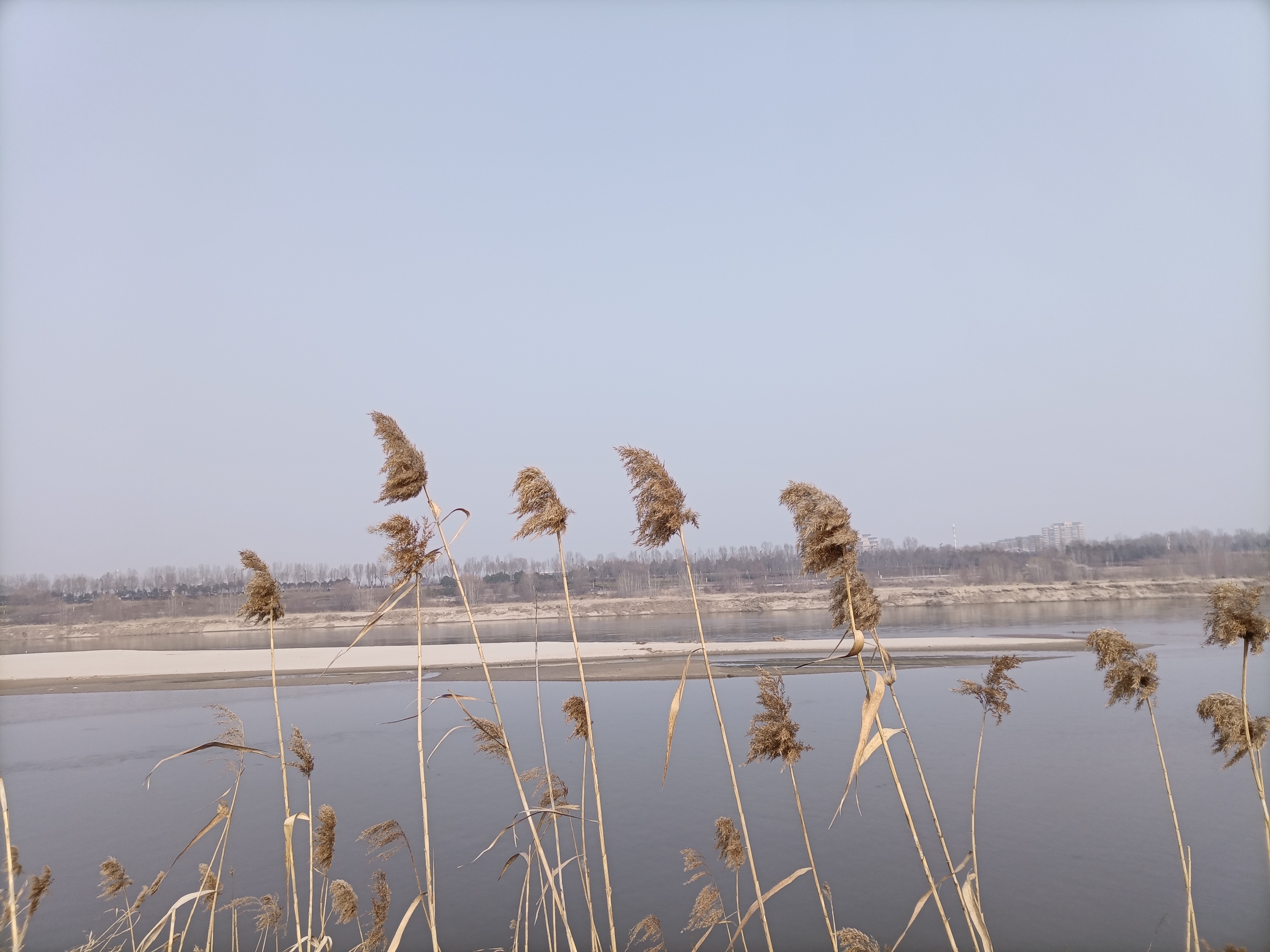 渭河河堤的景色宜人