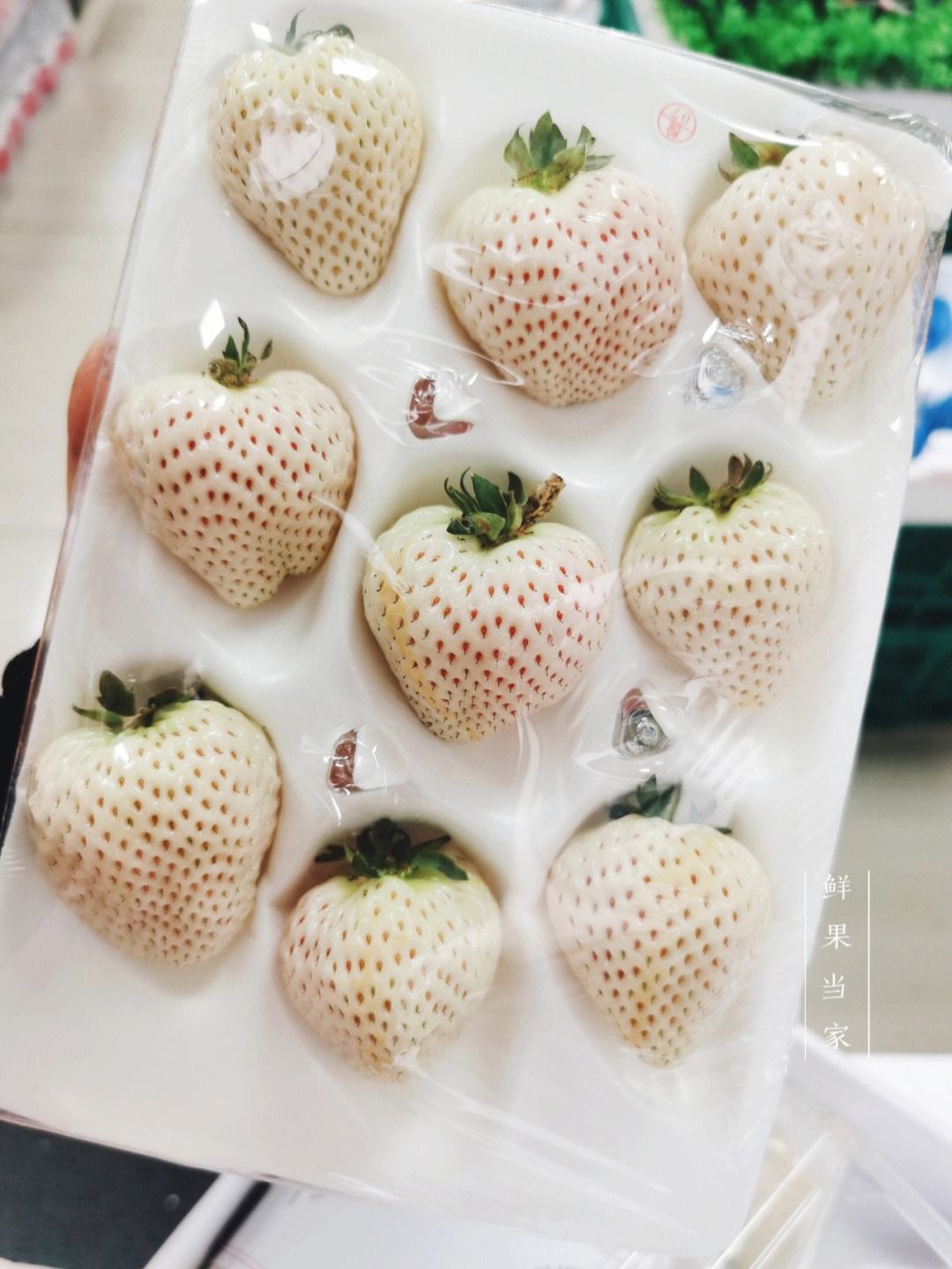 白雪公主草莓的优点,白雪公主草莓苗预估市场行情