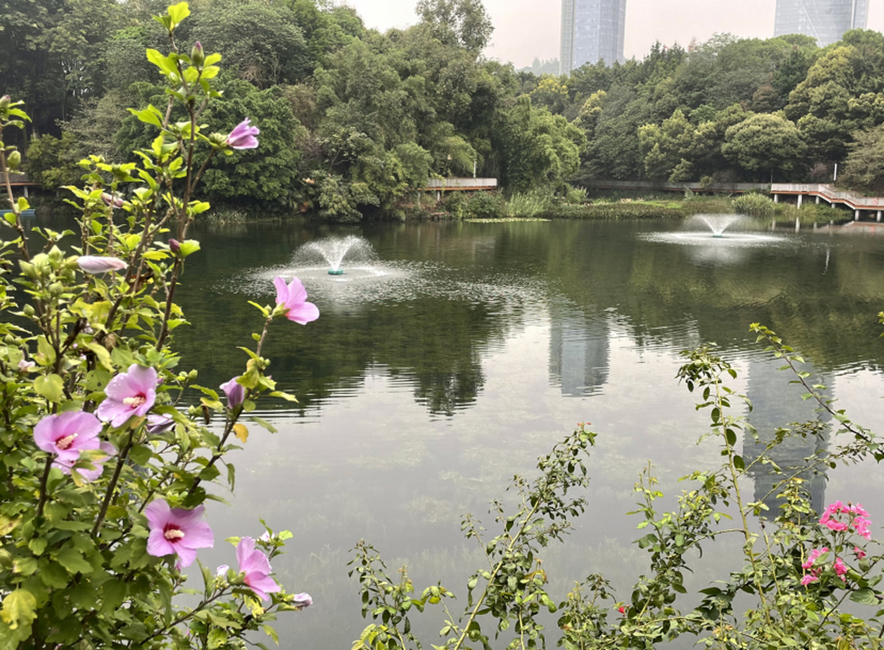 重庆百林公园位于重庆两江新区,是一个集休闲,娱乐,观光,文化为一体的