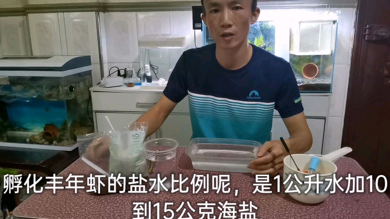 鱼苗最爱吃的丰年虾该怎么孵化,我给大家介绍一种简单经济的做法