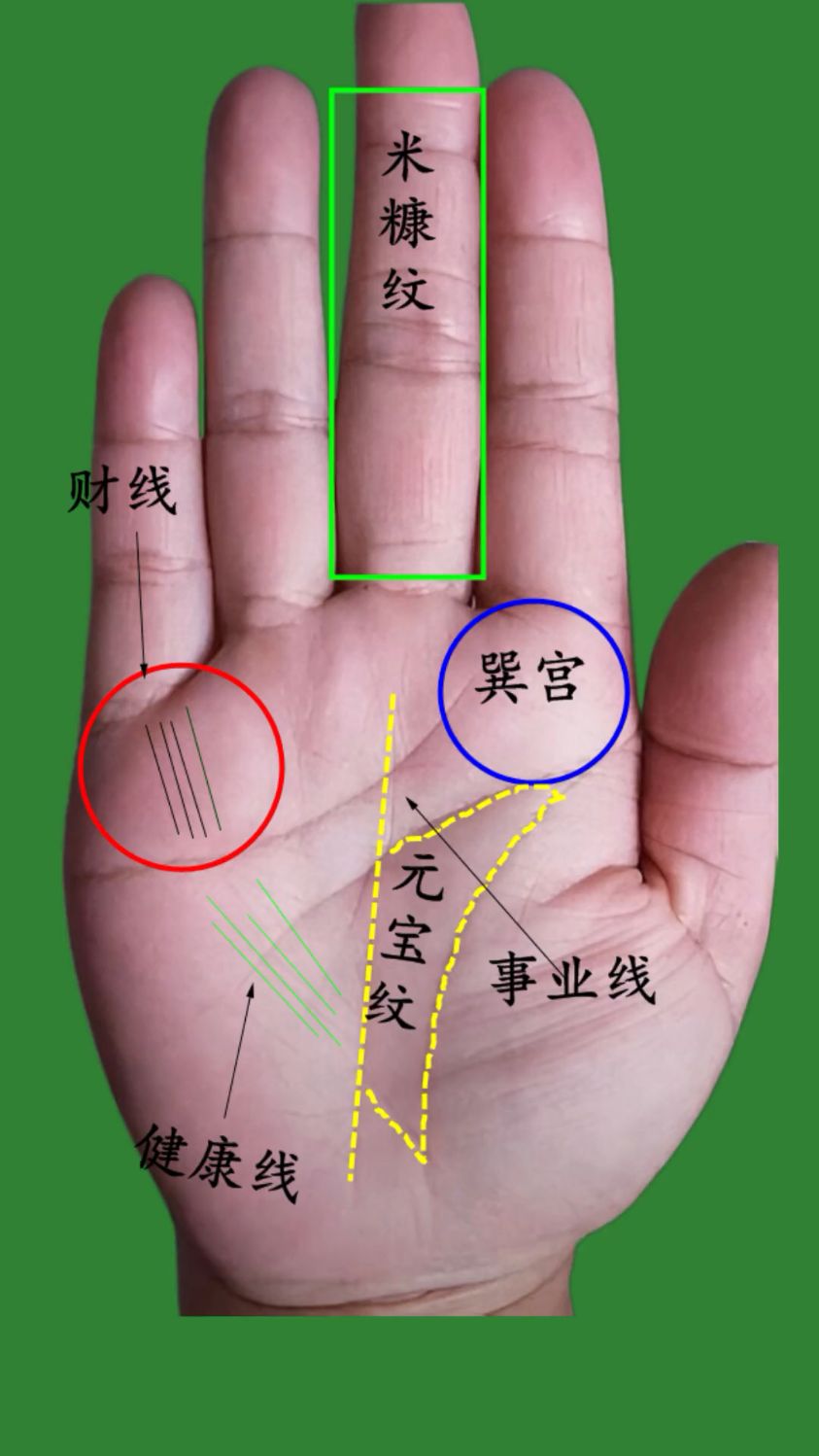 手握元宝纹好不好?