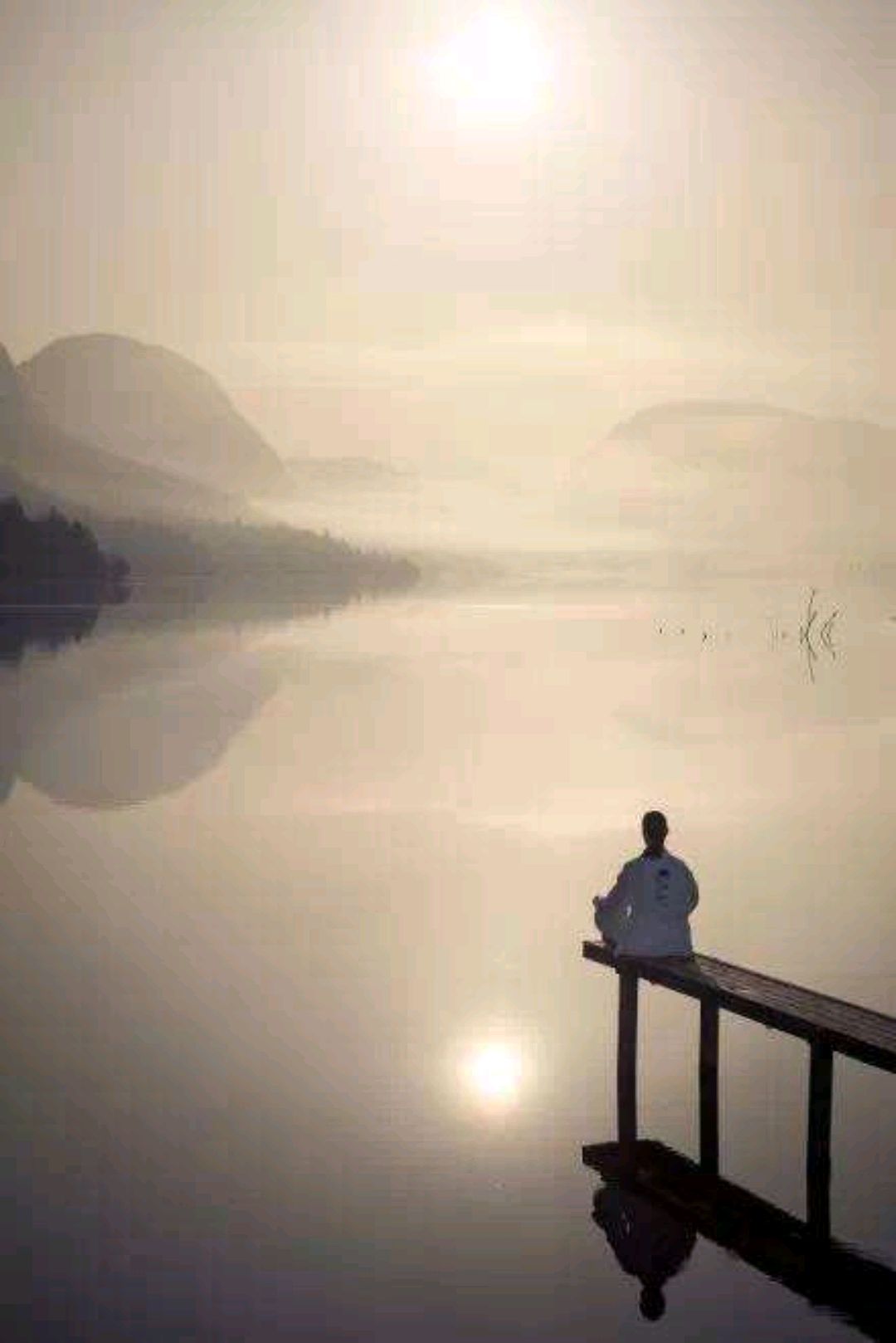 怜悯之心的自我表述