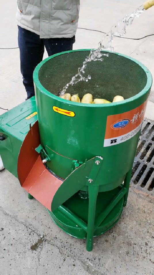 农贸市场加工去皮洗土豆常用机器,自动脱皮土豆