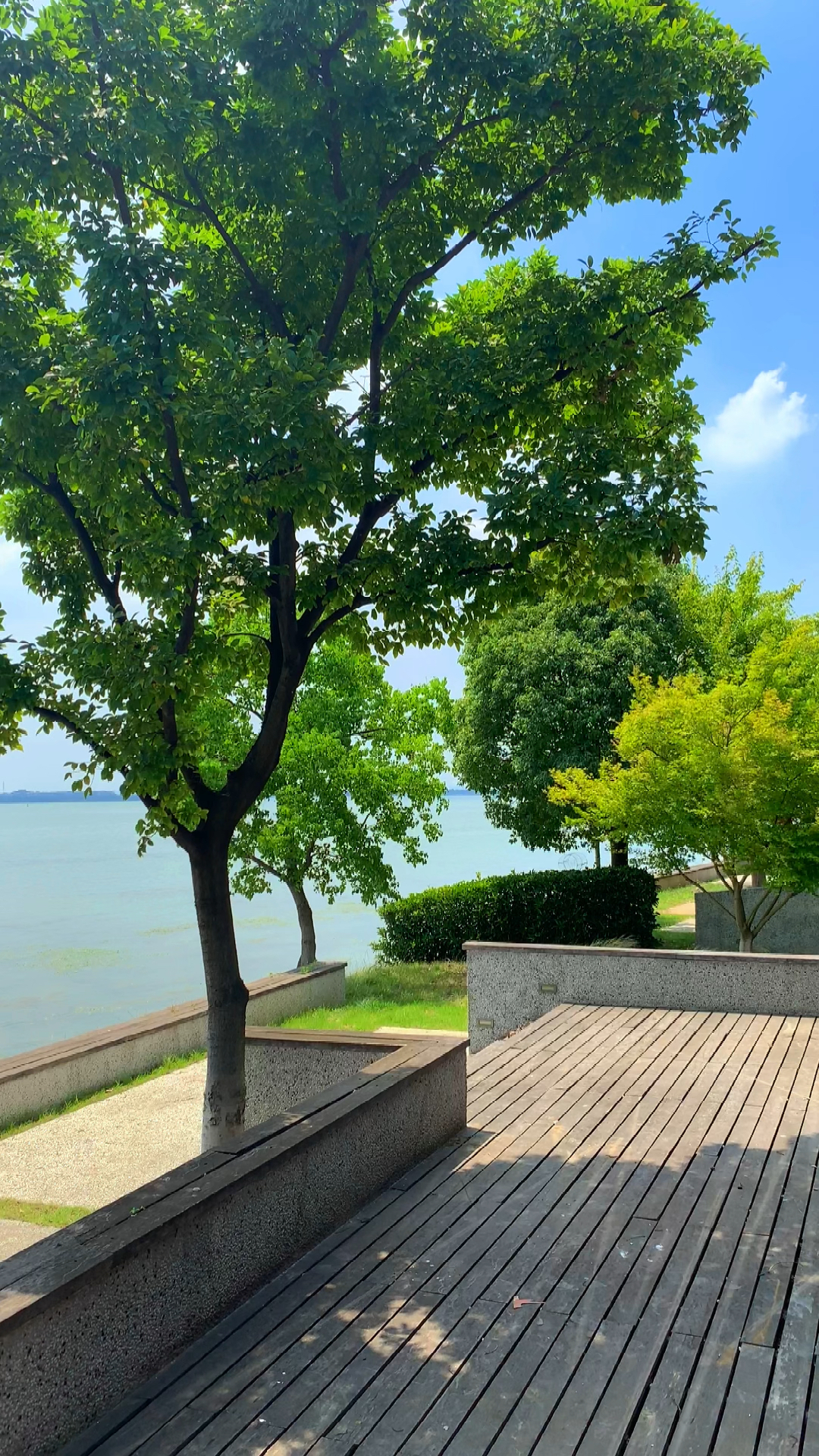 上海以北的苏州园林临湖独栋别墅940平通透天地墅境