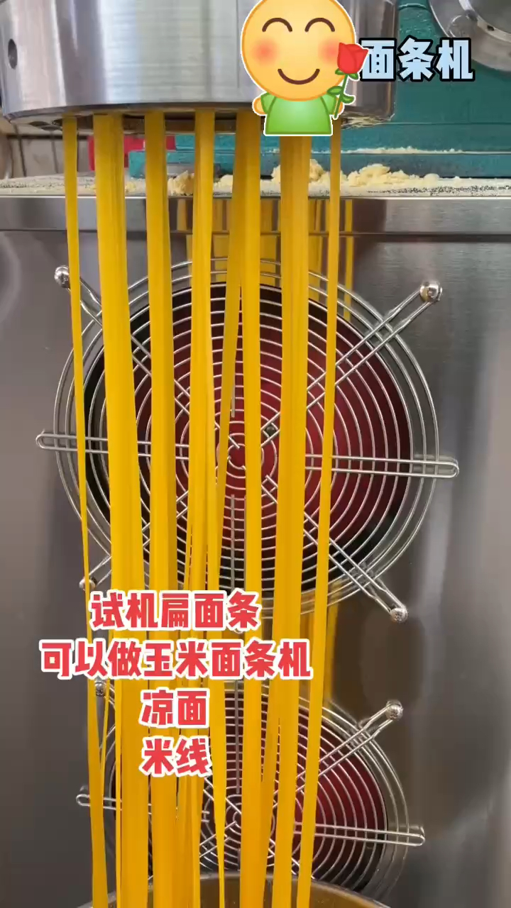 乐世博杂粮面条机 玉米面条机 凉面 米线机