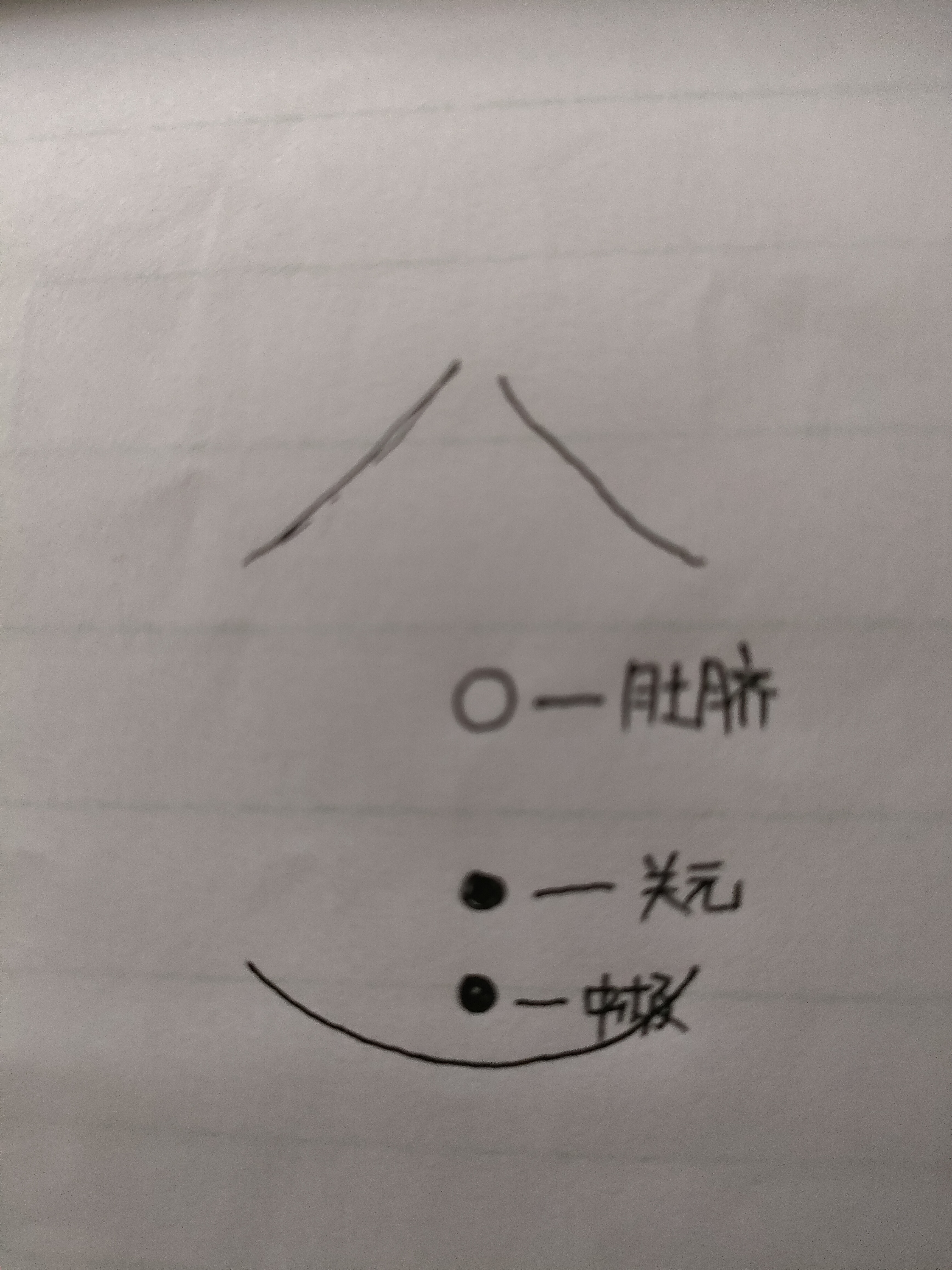 中极的准确位置图片图图片