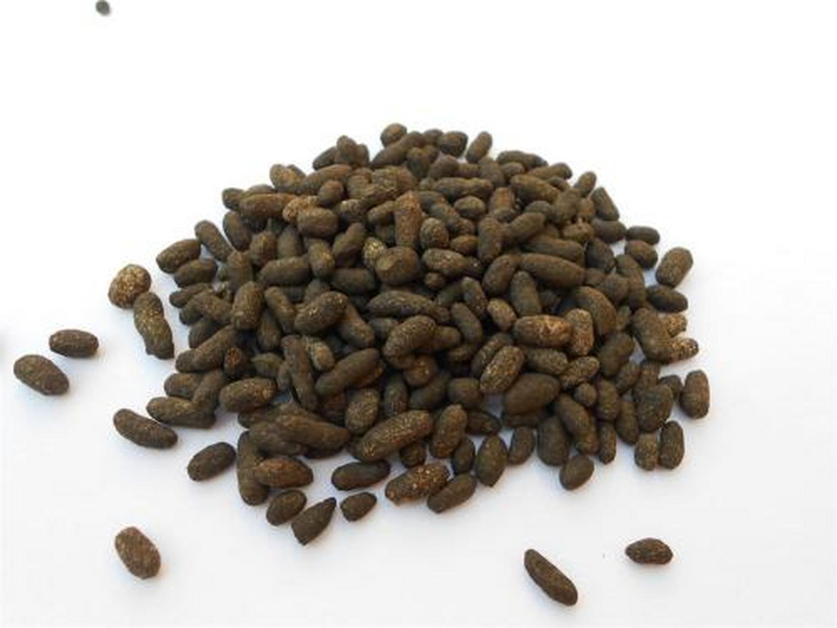本品为鼯鼠科动物复齿鼯鼠的粪便 01 药用部位 鼯鼠科动物复齿鼯鼠的