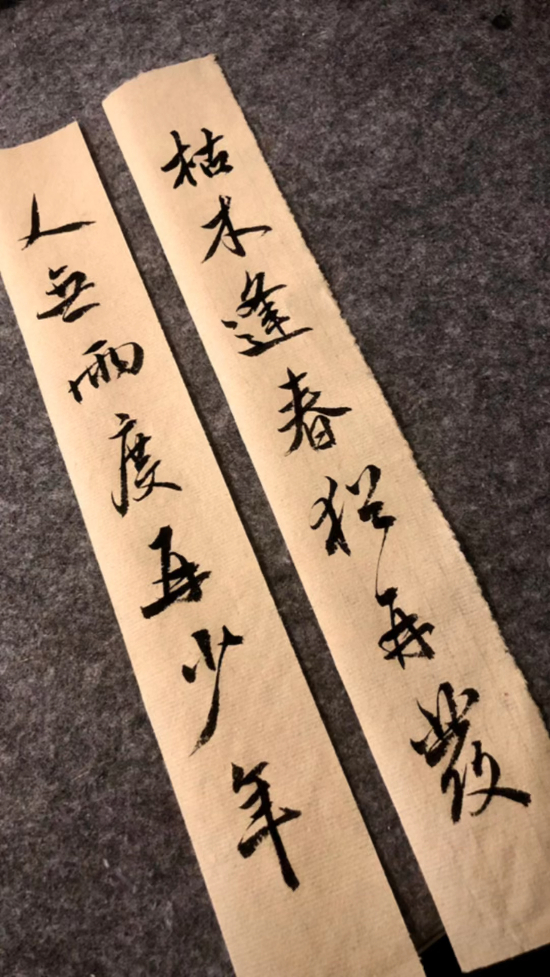 枯木逢春犹再发,人无两度再少年-度小视