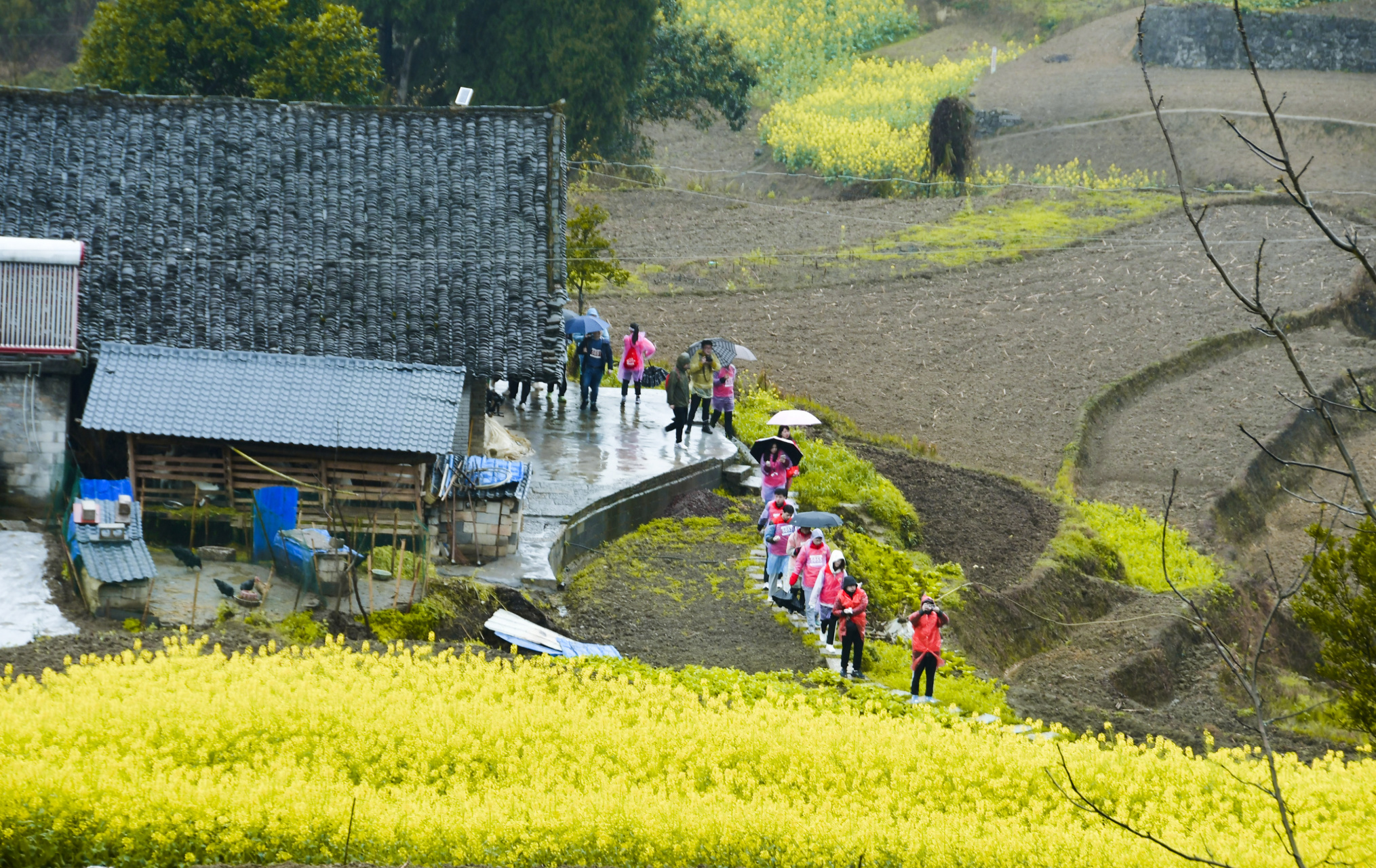 重庆綦江安稳镇,是由黔入渝的第一镇,素有綦江"南大门"之称…  3月12