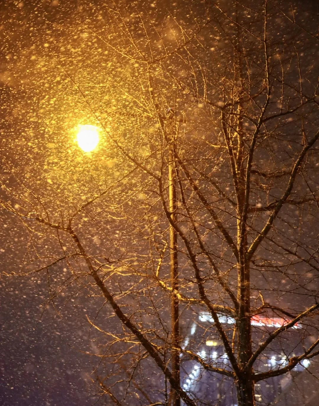 下雪天的朋友圈图片