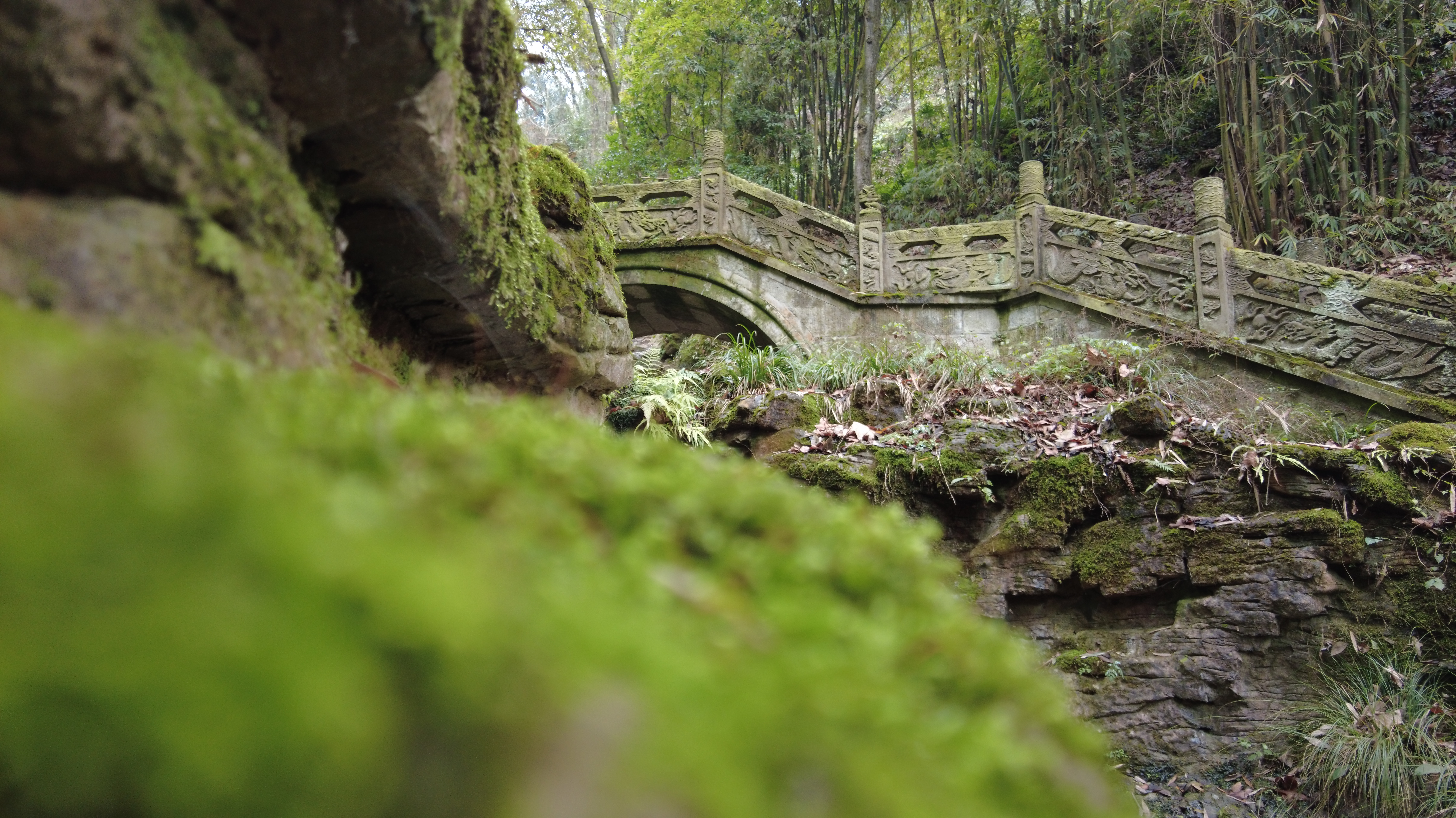 这里是贵州遵义的南岭公园