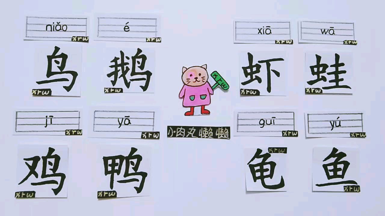 学前识字鱼龟蛙虾鸟鸡鸭鹅·幼升小衔接语文学习经验分享儿童启蒙