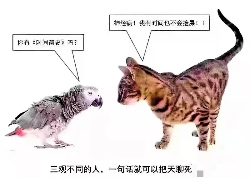 你有《时间简史》吗