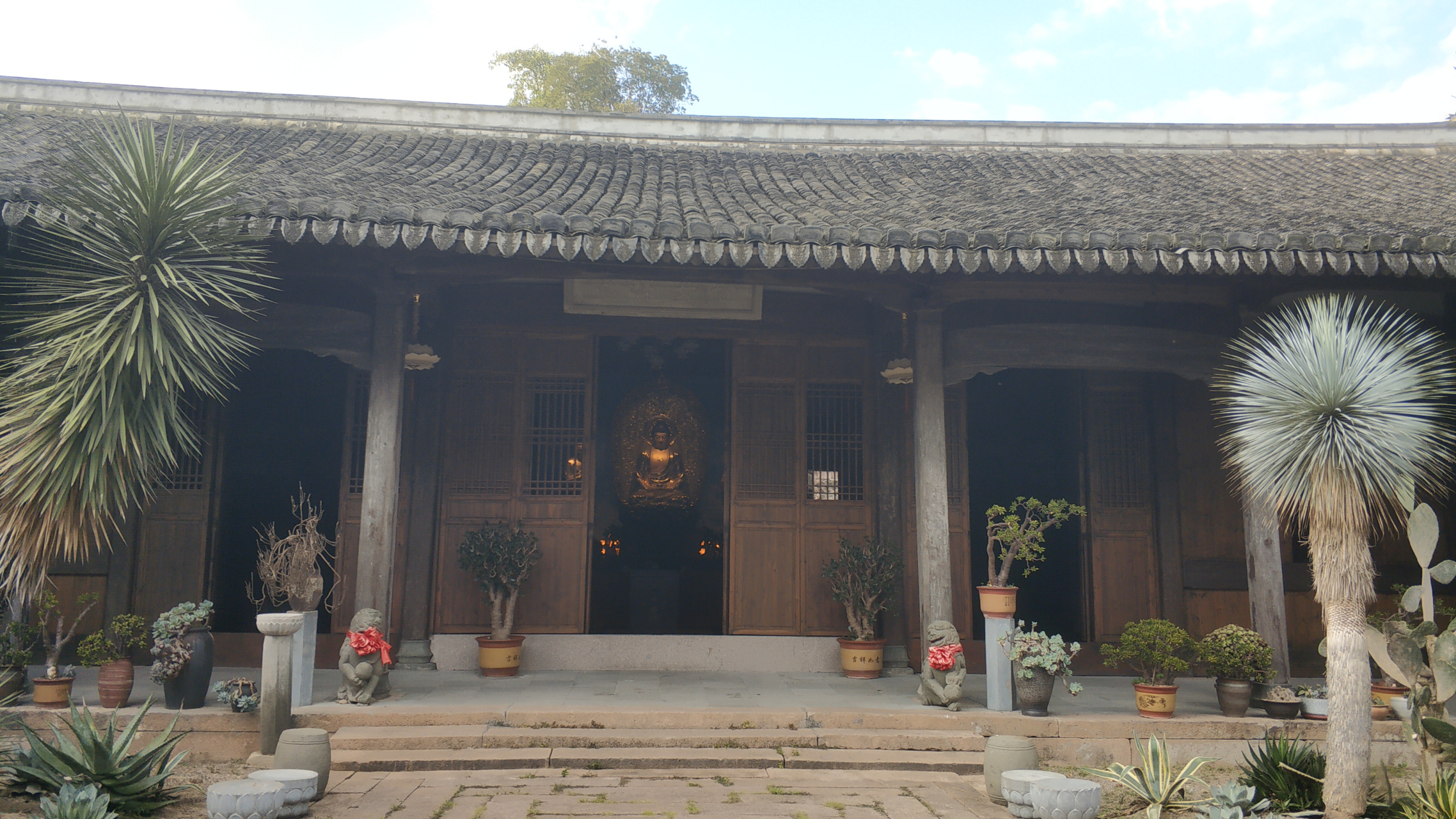 最帅的和尚明心法师,网红打卡地,浙江温州永嘉楠溪江普安禅寺.