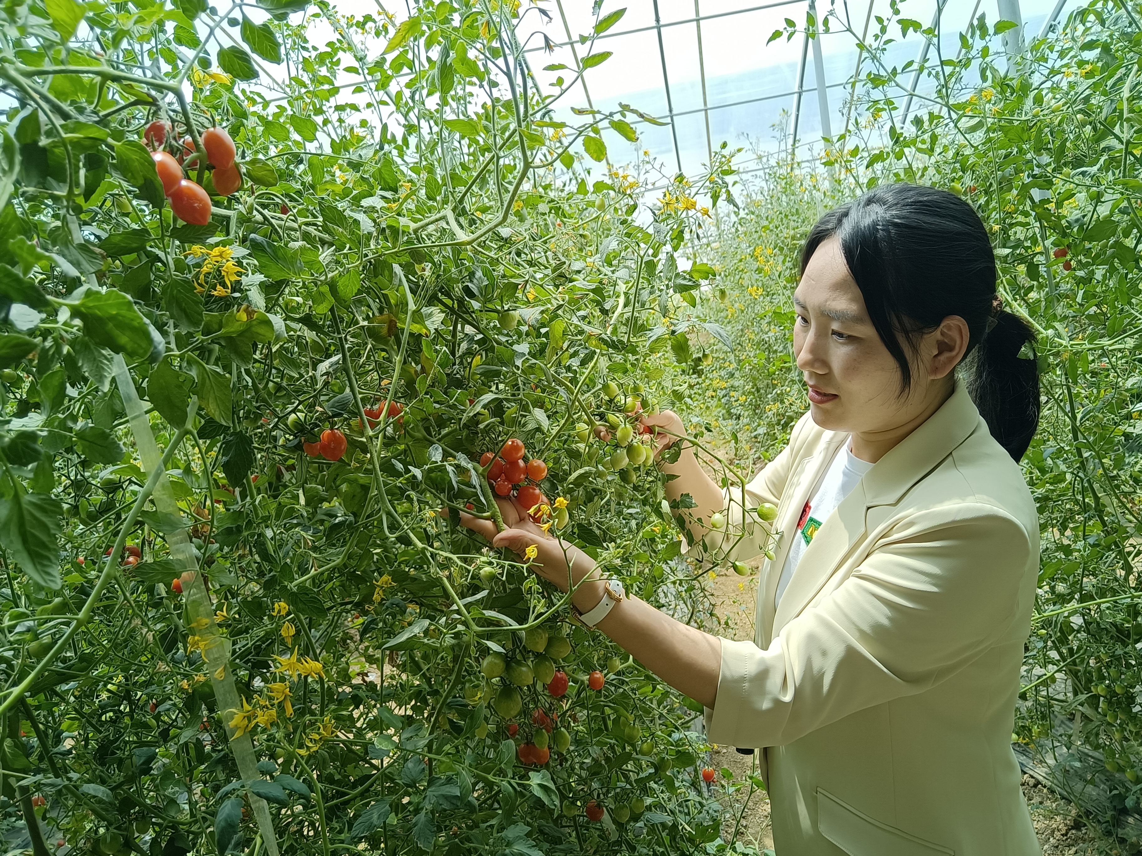 叶县田庄乡开启壮大村级集体经济新模式