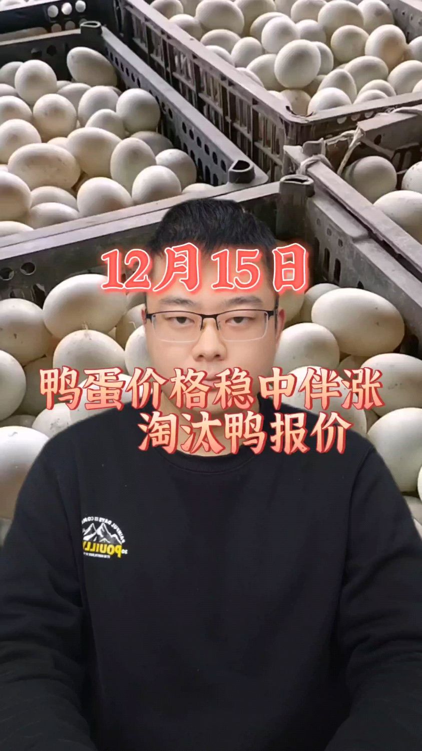 鸭蛋价格今日价格 鸭蛋价格最新行情 鸭蛋价格今日价全国行情 鸭蛋