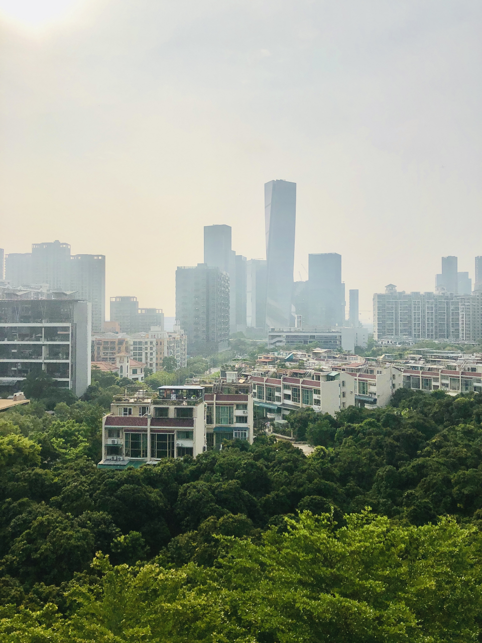 深圳大南山紫园别墅视野:从近到远依次是:荔枝园——多层豪宅——高层