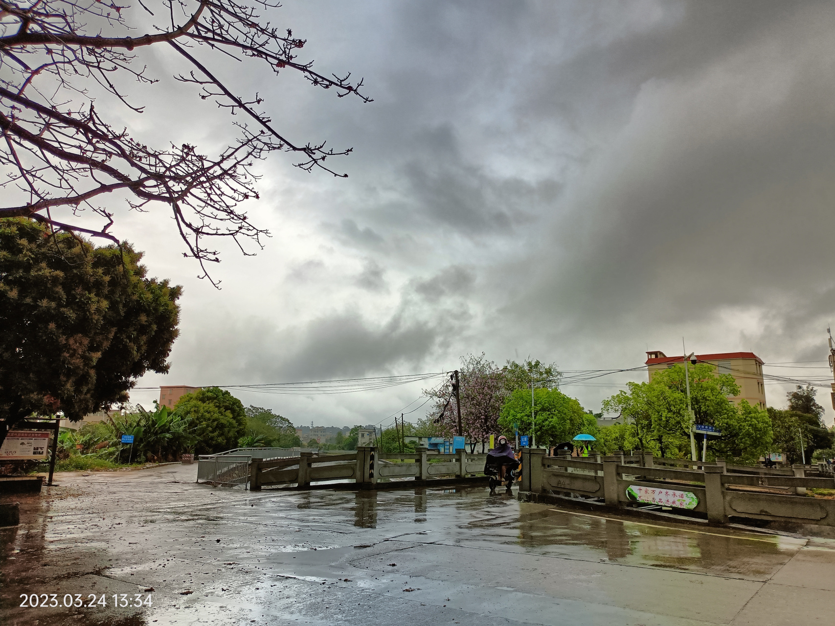 下雨时,农村的风景