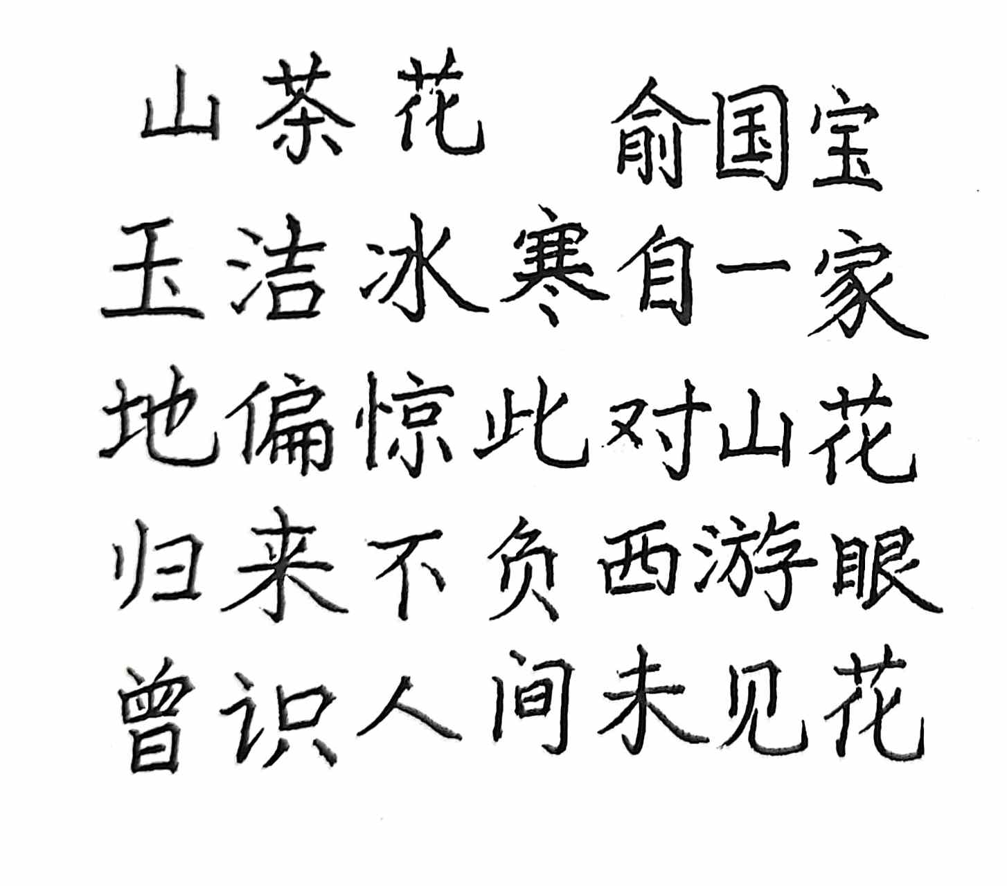 抄写俞国宝的诗《山茶花》: 玉洁冰寒自一家 仄仄平平仄仄平  地偏惊