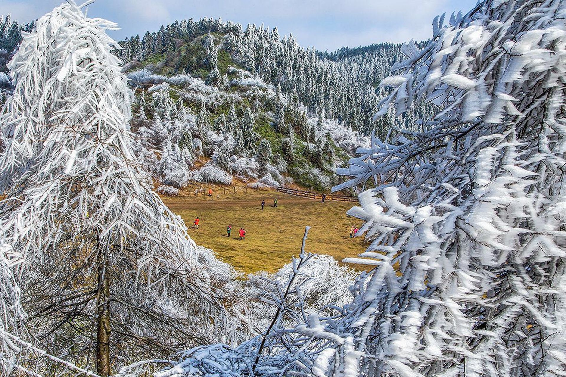 冬天雪天美景# 仙女山下雪了,今年高山的第一场雪,随着进入深冬,页