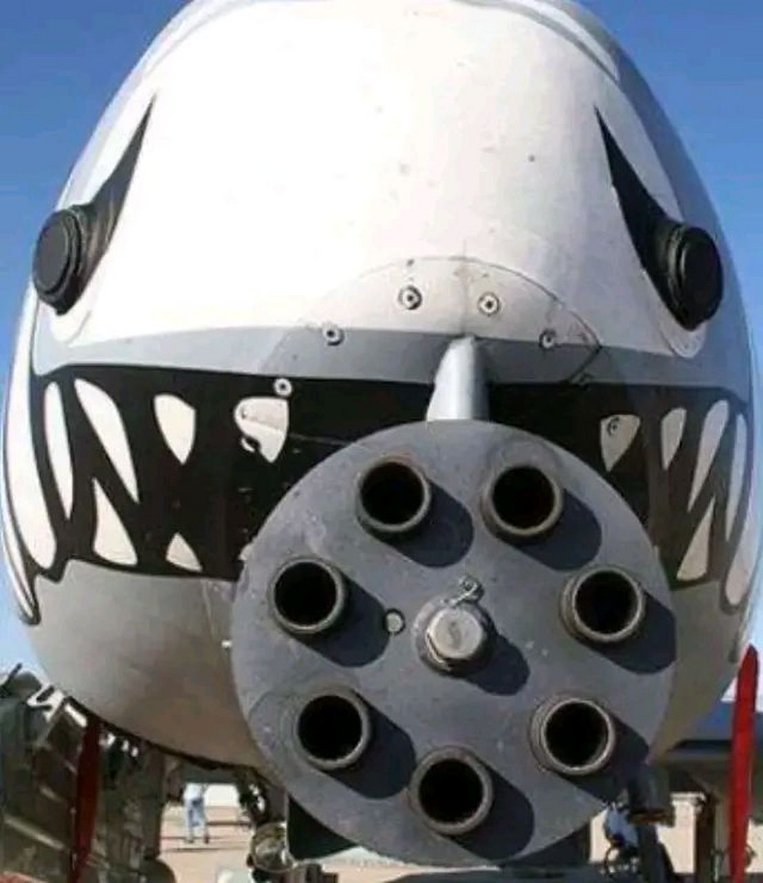 aa10攻击机标准鲨鱼涂装,像不像鲨鱼大佬叼着一根粗雪茄.