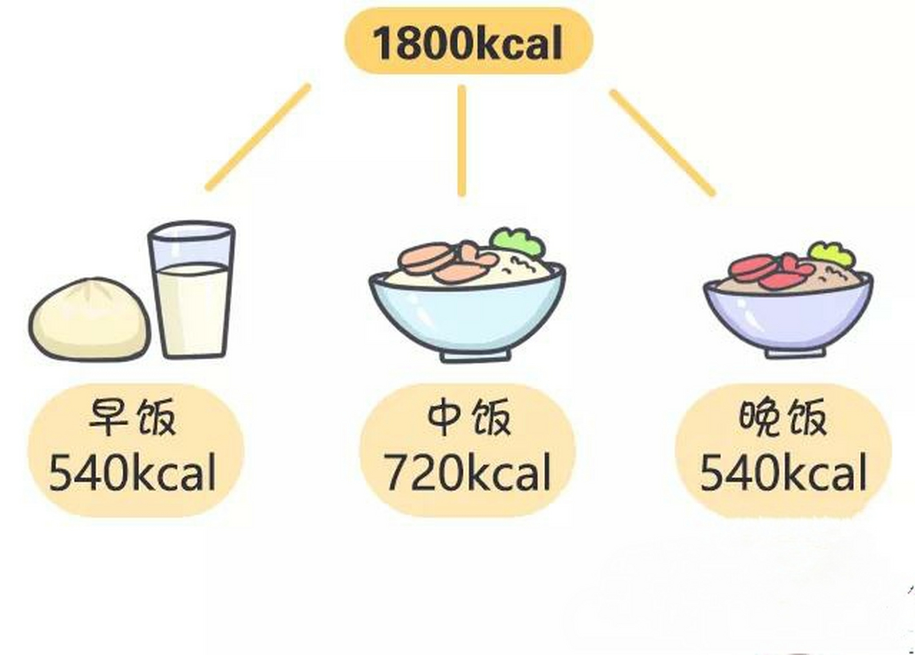 家裡有患者的必須瞭解《成人糖尿病食養指南(2023年版)》 糖尿病發生