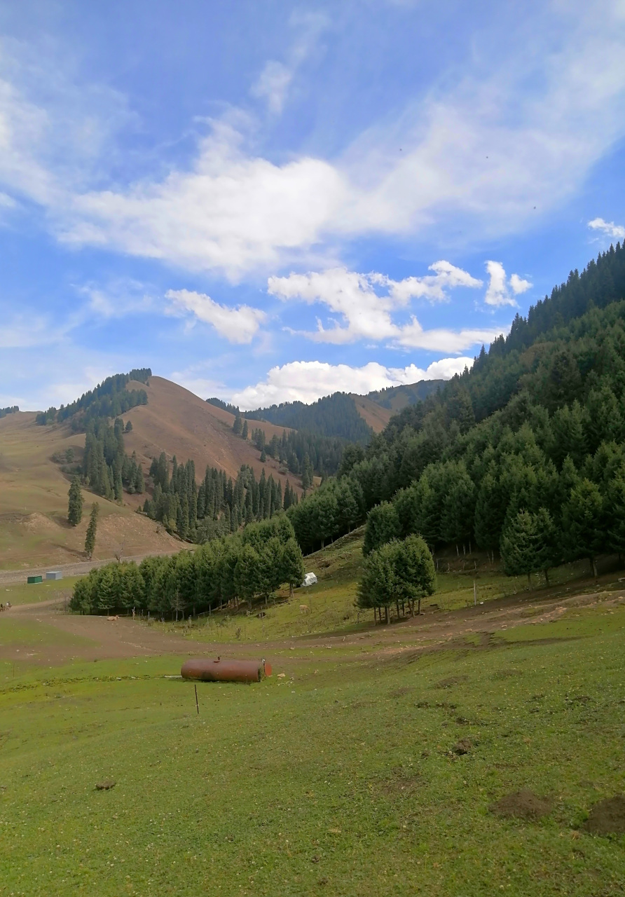 从伊宁沿伊犁喀什河到乔尔玛经唐布拉,小众景点人少景美.