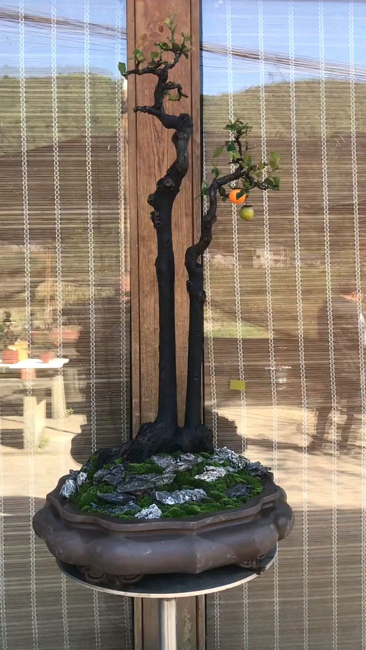 一本双杆金弹子