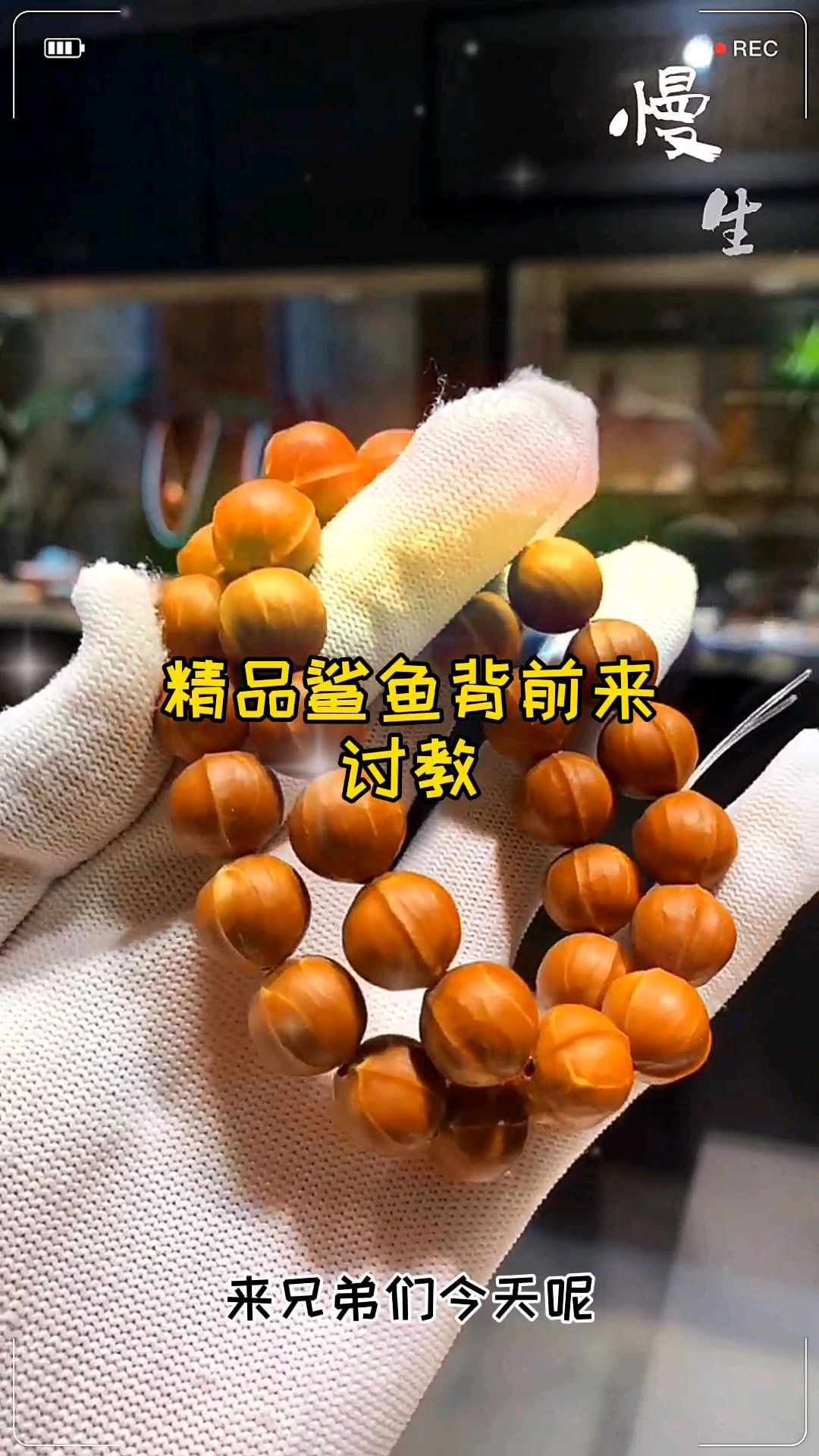 应各位要求,精品鲨鱼背前来讨教了