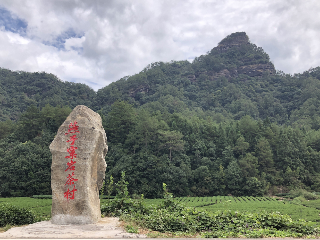 武夷岩茶核心产区星村镇燕子窠,为探访一片神秘的东方树叶