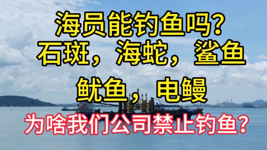 海员在海上能钓鱼吗?船员吃了有毒的鱼上吐下泻差点丢了命!