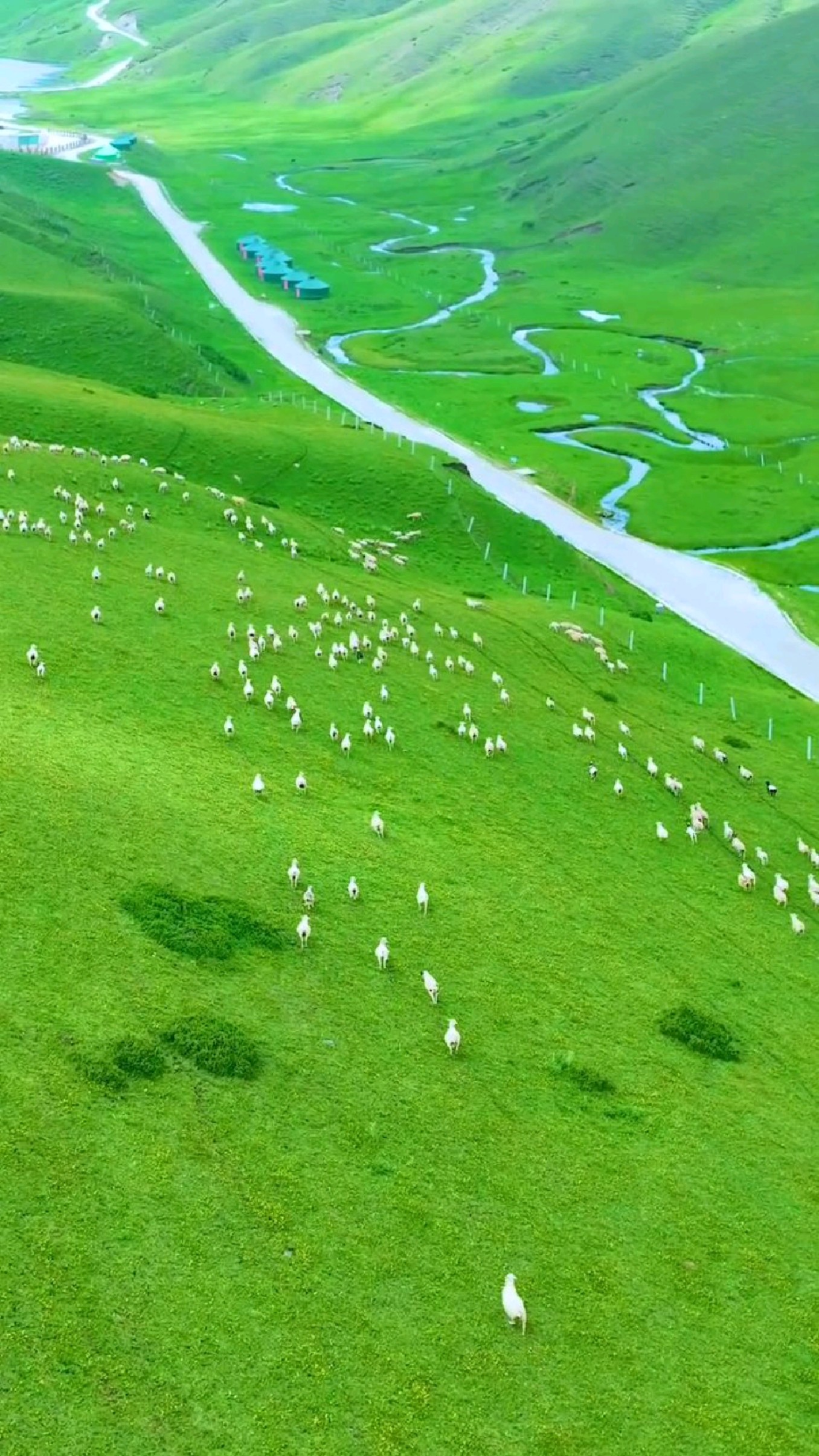 夏天的大海草山有多美你知道吗云南曲靖带你看风景