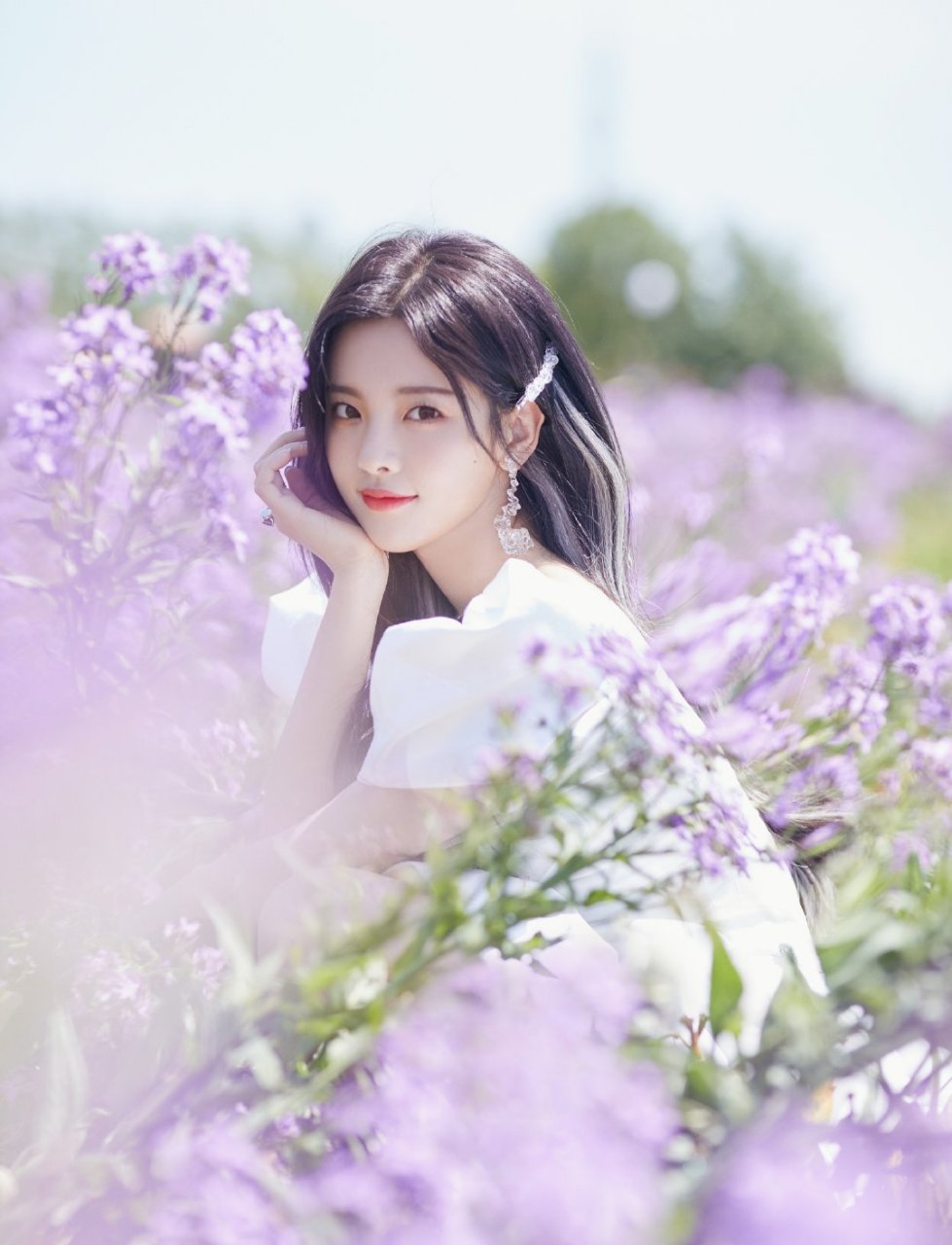 杨超越高清壁纸头像(二十一)[温暖]