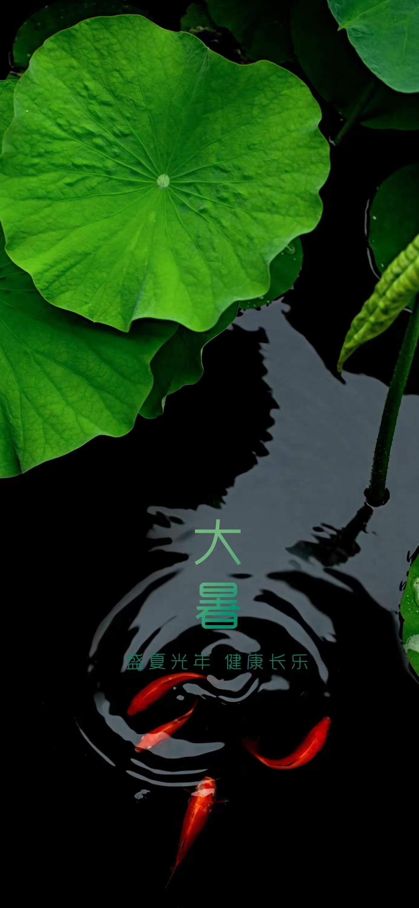 大暑壁纸,愿你快乐升温,高歌猛进;顺意升温,炙手可热