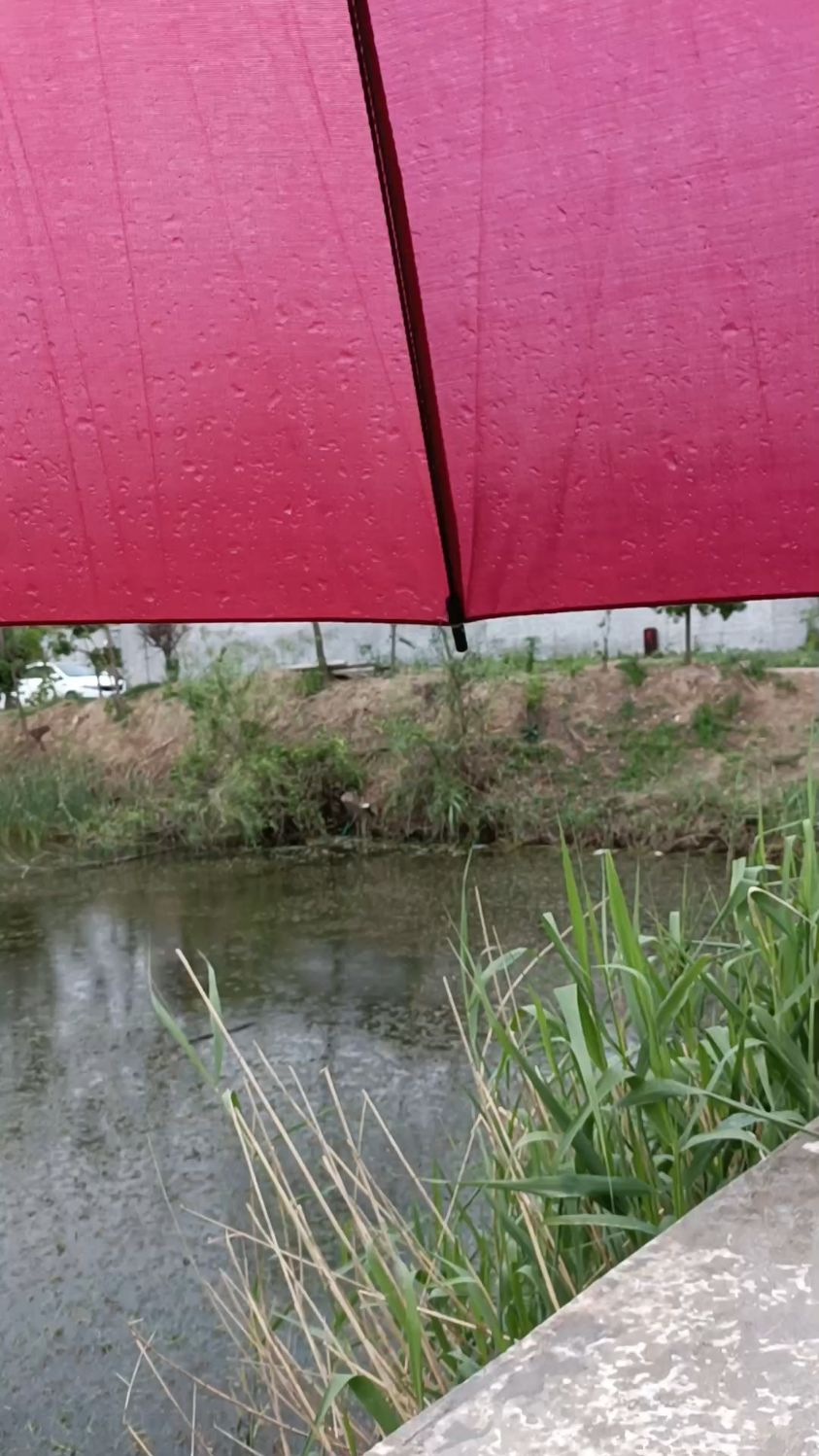 青箬笠,綠蓑衣,斜風細雨不須歸.