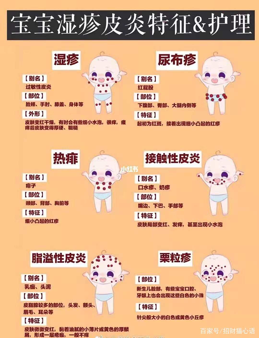 SEO十万个为什么会长湿疹 baijiahao.baidu.com