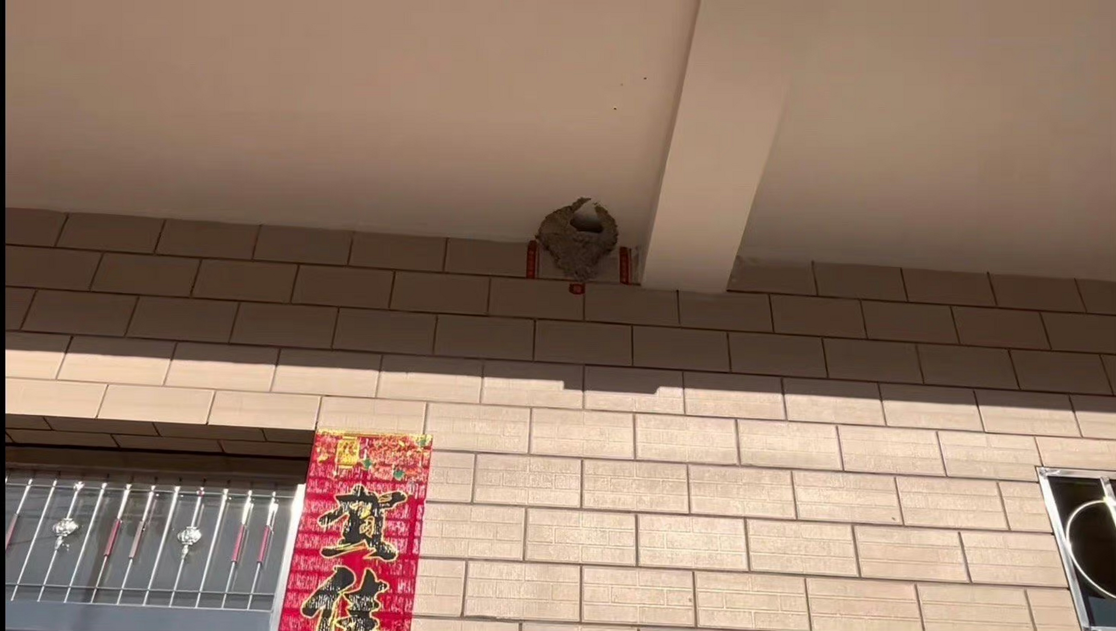 中国好房东 给鸟窝也贴了对联