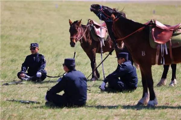 马背上