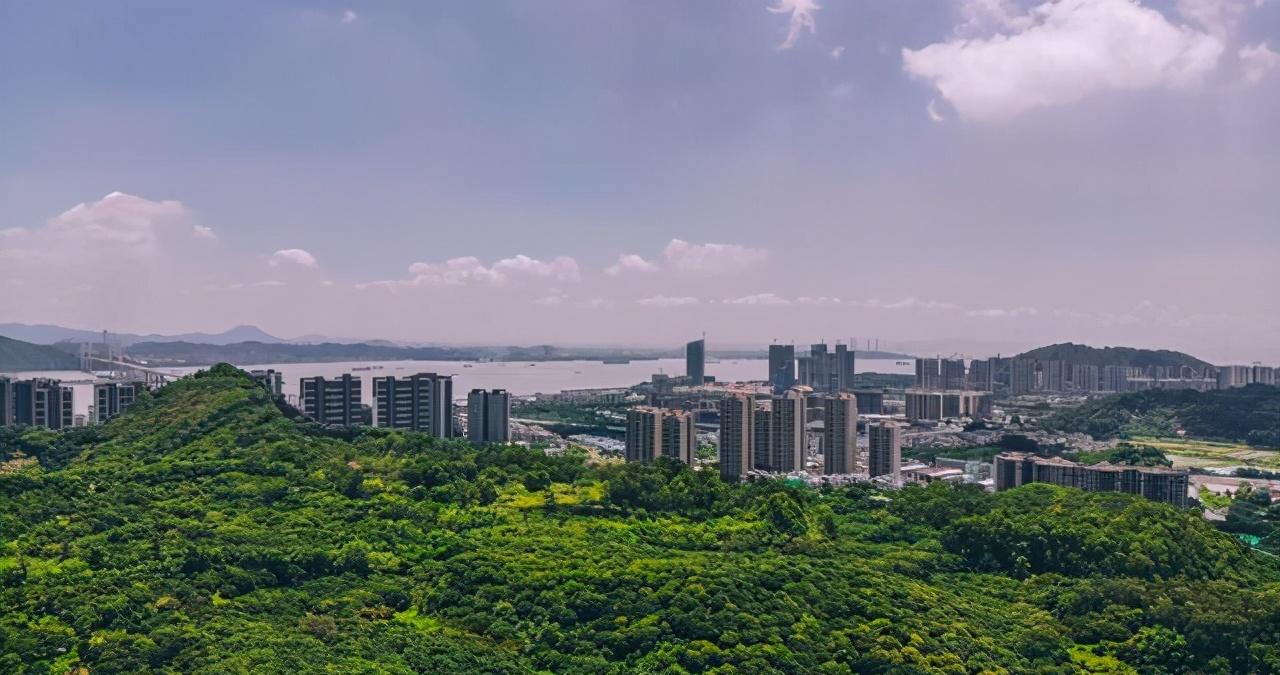 南沙黄山鲁森林公园,南沙人都应该来看看的好公园,景色真的不错