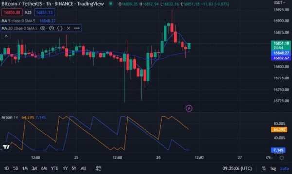 BTC 多头横行，价格上涨 0.13% 至 16,862.18 美元