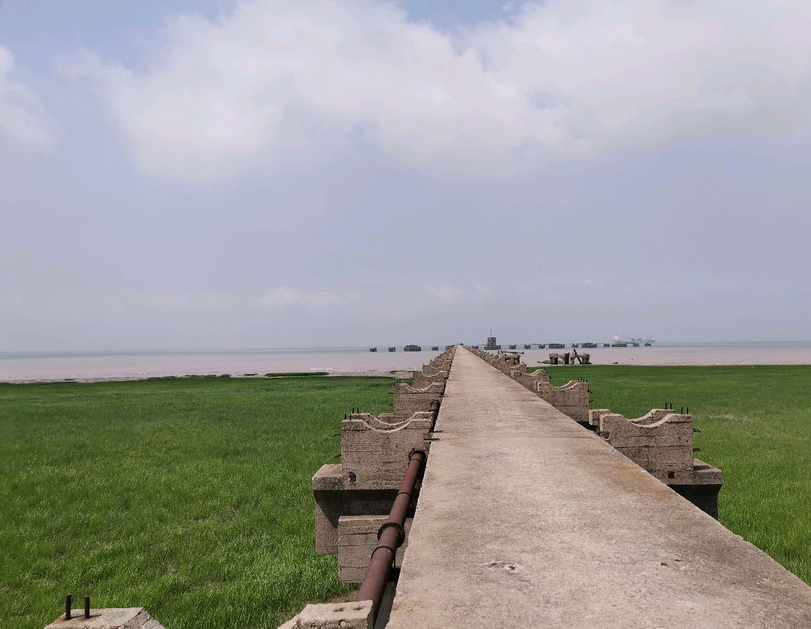 上海亲子游好地方,崇明三岛之一横沙岛,领略城市的田园美